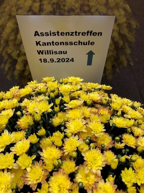 Blumen als Empfang