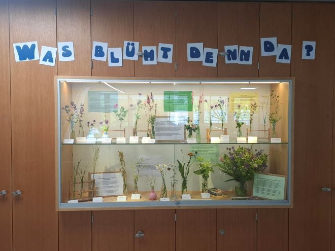 Bild blühende Blumen